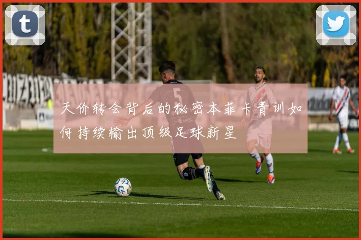 天价转会背后的秘密本菲卡青训如何持续输出顶级足球新星